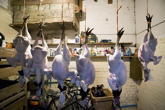 ...9 turkeys hanging...