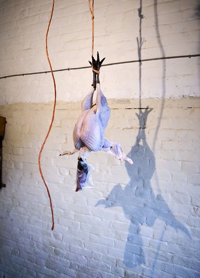 have yourself a veggie merry christmas