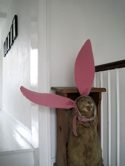 more scenes from the inside