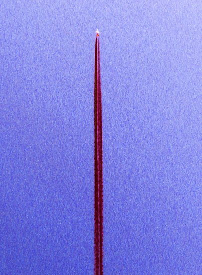 and i'm floating in a most peculiar way 