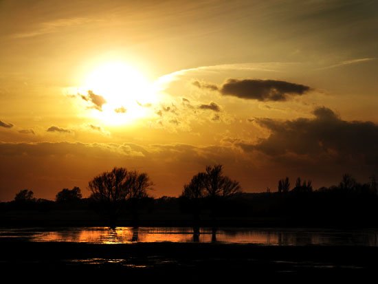 cold as a witch's fridge