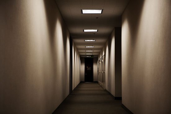 remember member: you're a womble