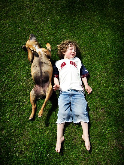 two my dawgs lying on the graas