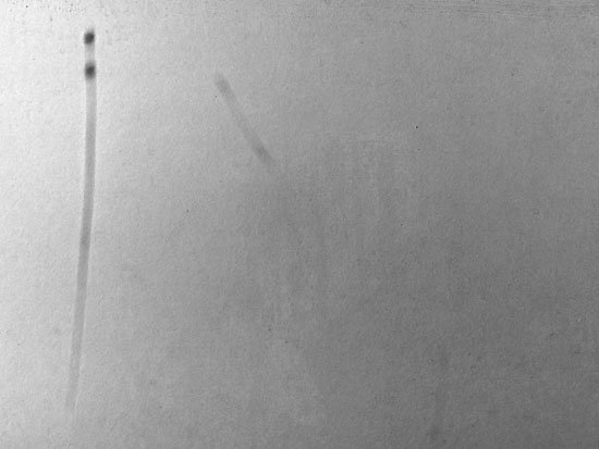 oops, i did it again...