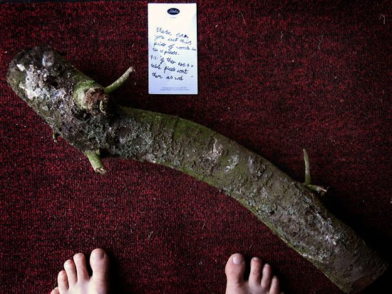 on the doormat this evening...