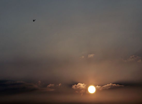 wherever i park my truck...