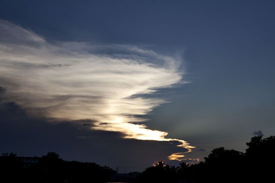 the cost of paradise