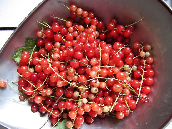 z, pay attention she calls all liquids, 'juice' 