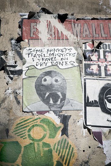 some monkeys travel on sticks, i travel on dry bones