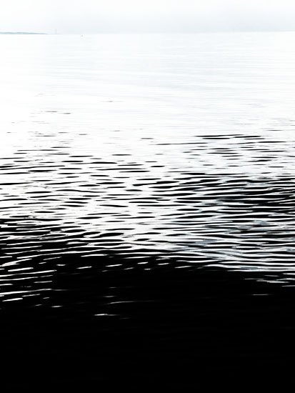 fish guts and pudding