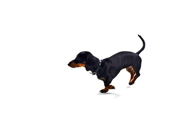 hound dawg gonna eat dat pussy