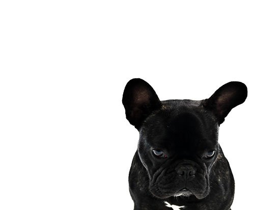 no rest for the wicked