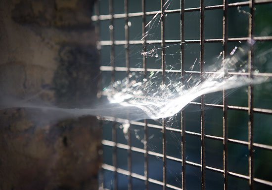 catch me: im falling