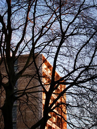 insincerity is worse than indifference