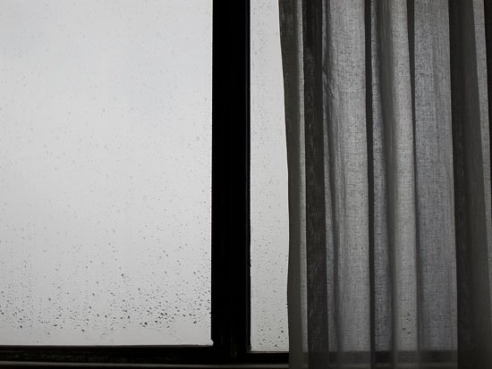 monochromatic morning