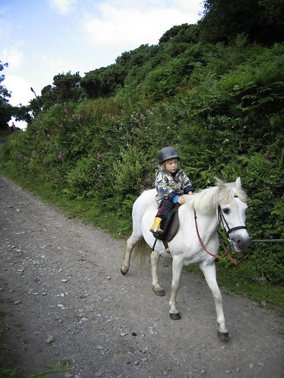 maximums first riding lesson