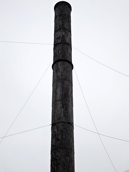 bushwick phallus
