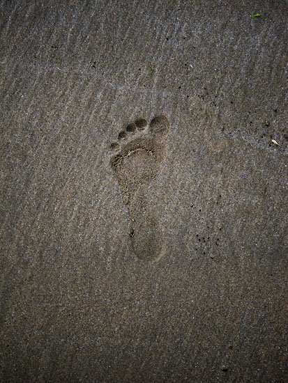 z foot