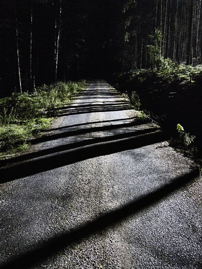 lost in a forest
