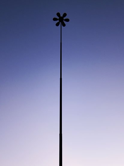 the english equivelent of those high palm tree lined blvds in los angeles