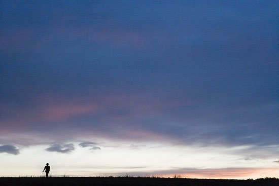 elvis has entered the building