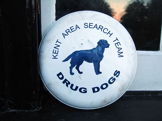 drug dogs