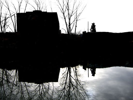 red hook