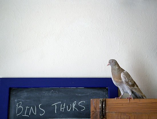 say hello to my little friend...