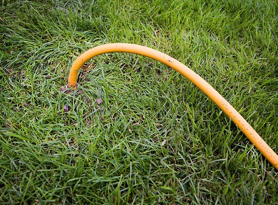 say goodbye to my little friend