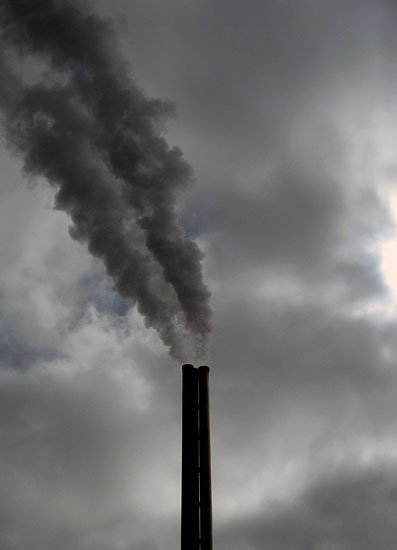 the killers in paris