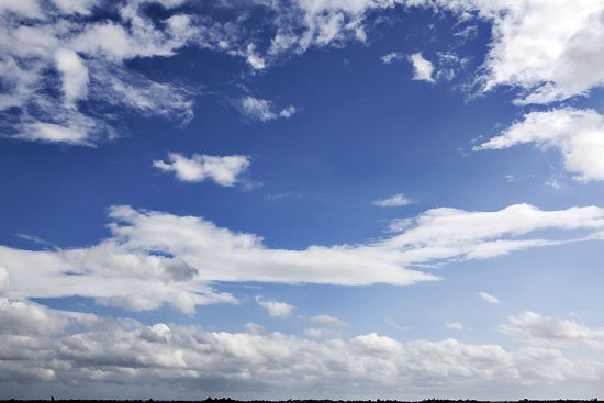 more scenes from the farm