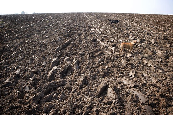 mud...will it stick?