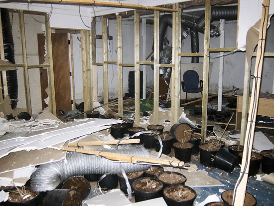 studio 1