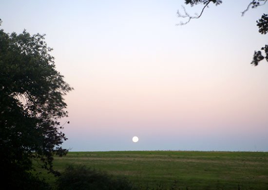 i miss all the fun #2