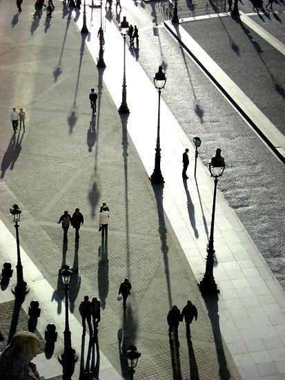 matchstick men, matchstick cats and dogs