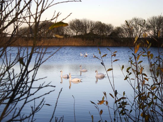 giraffe lake