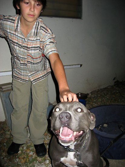 jake and pitbull