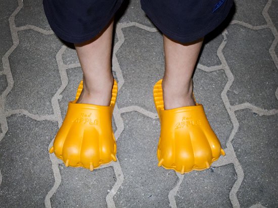 z bear-foot