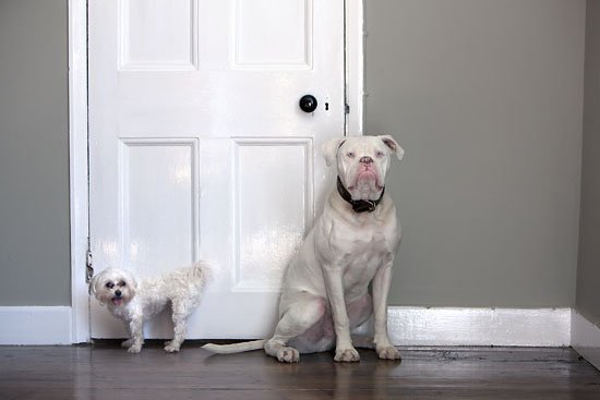 little and large