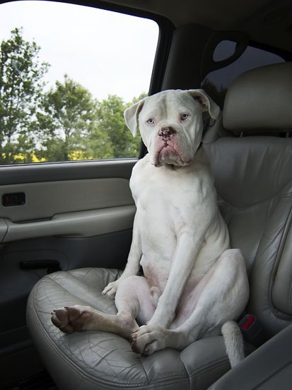 what do you mean im not human?