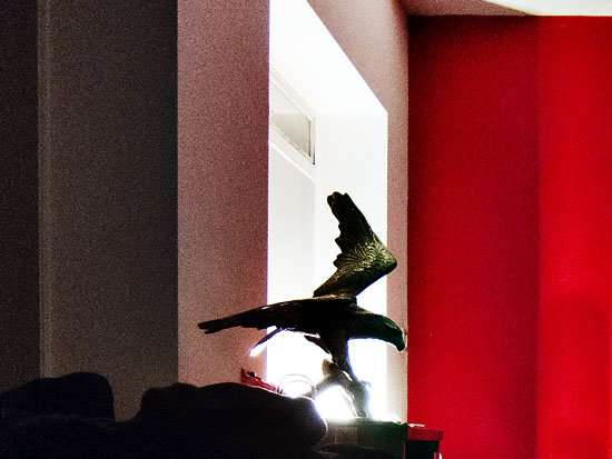 the eagle has not landed