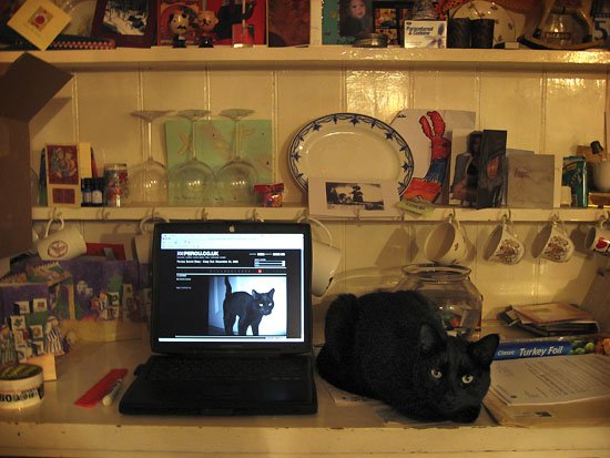 happy christmas 2006 (innit)