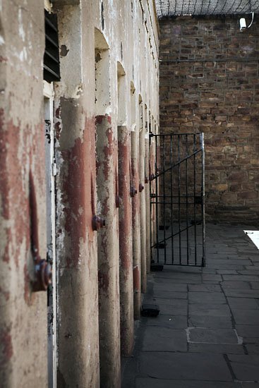solitary cells