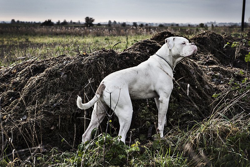 mr bunny wolfgang malkovich