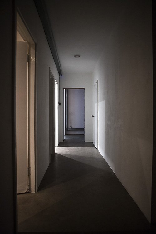 midnight at the oasis