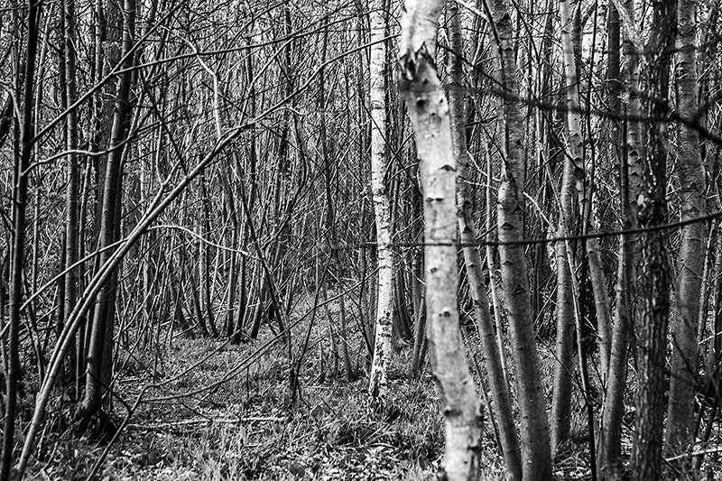 je cherche un emplacement