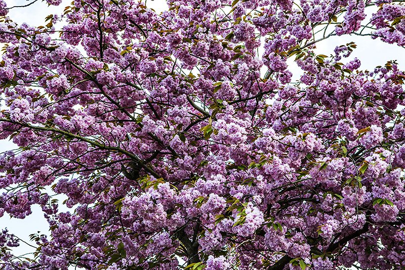 this years magic eye