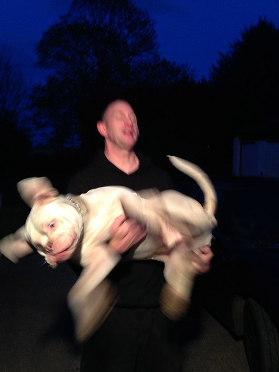 mr.bunny would like to get down now please