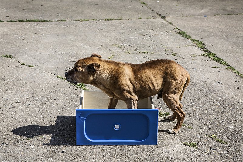 im a living in a box...