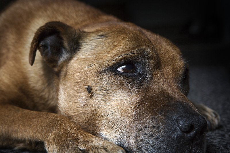 unhappy birthday (to me)